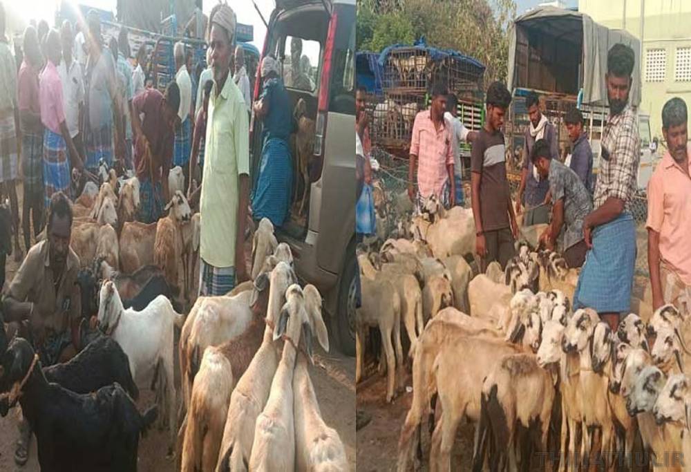 உளுந்தூர்பேட்டையில் ரூ.3 கோடிக்கு ஆடுகள் விற்பனை: வியாபாரிகள் மகிழ்ச்சி